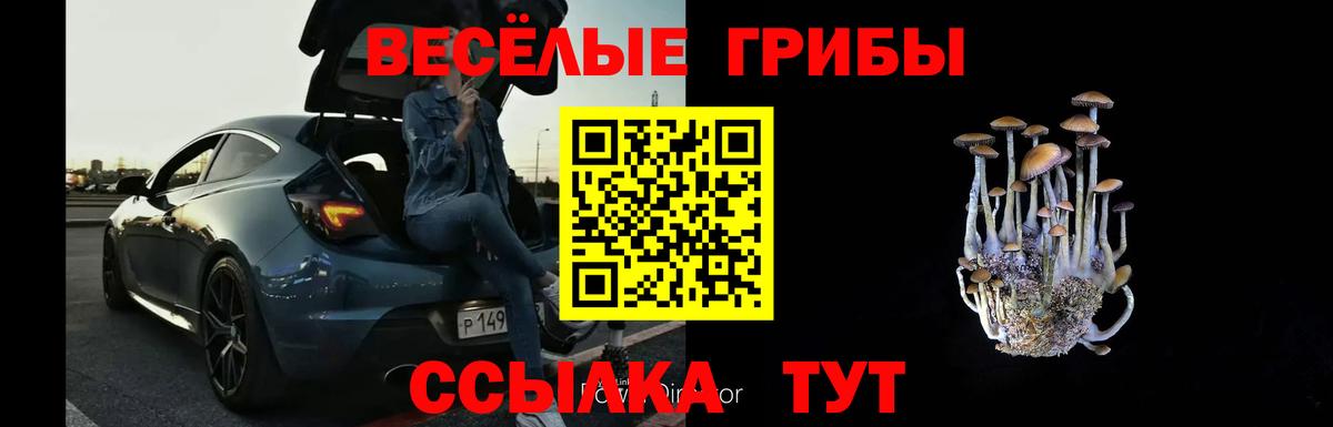 Псилоцибиновые грибы прущие грибы Урай